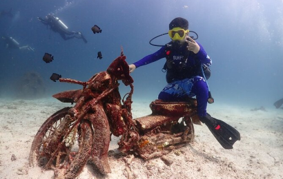 Discover Spectacular Coral Reefs with Phi Phi Islands Diving