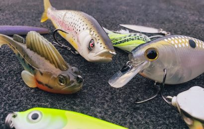 Largemouth Bass Fly Fishing