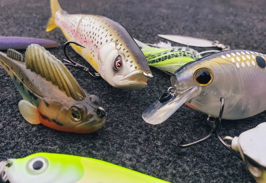 Largemouth Bass Fly Fishing