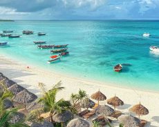 Planning the Perfect Zanzibar Honeymoon at Matlai
