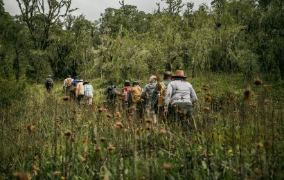 Trekking Agency Vs Independent Trekking Guides In Nepal