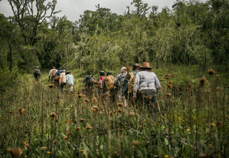 Trekking Agency Vs Independent Trekking Guides In Nepal