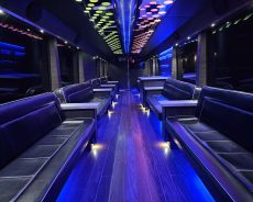 10 Reasons to Choose a Toronto Party Bus for Your Next Celebration